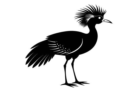 Black Silhouette Comb-Crested Jacana